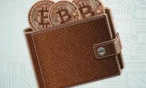 加密货币钱包：一种安全的数字资产管理工具